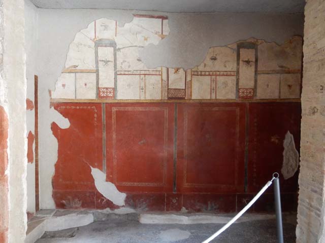 I.6.7 Pompeii, 1968. Detail of painted plant from zoccolo (dado) of room on west side of entrance. 
Photo by Stanley A. Jashemski.  
Source: The Wilhelmina and Stanley A. Jashemski archive in the University of Maryland Library, Special Collections (See collection page) and made available under the Creative Commons Attribution-Non-Commercial License v.4. See Licence and use details.
J68f0649  
