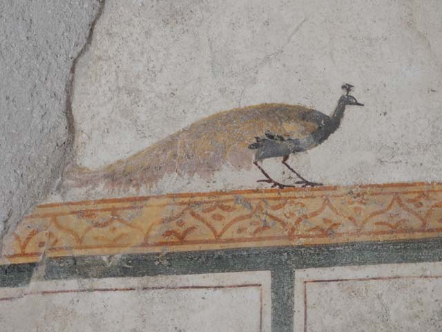 I.6.7 Pompeii. December 2006. Detail of painting of peacock onwest wall of room to west of entrance. 