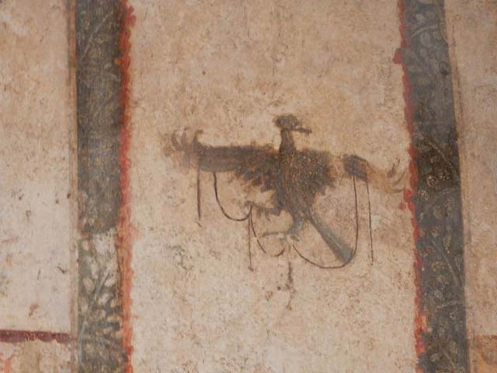 I.6.7 Pompeii. May 2016. Detail of peacock from north end of west wall. Photo courtesy of Buzz Ferebee.
