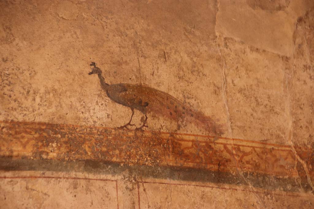 I.6.7 Pompeii. September 2019. Details of frescoes from north end of west wall. Photo courtesy of Klaus Heese.


