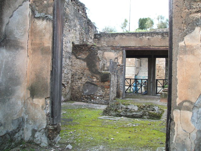 I.6.9 Pompeii. October 2004. West wall of tablinum.
Photo courtesy of Nicolas Monteix.
