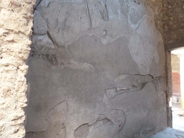 I.6.15 Pompeii. June 2019. Room 9, east wall of small garden. Detail from north end of east wall. 
Photo courtesy of Buzz Ferebee.
