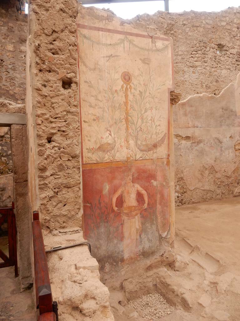 I.6.15 Pompeii. June 2019. Room 4, atrium. Painted zoccolo/plinth in north-east corner.
Photo courtesy of Buzz Ferebee.
