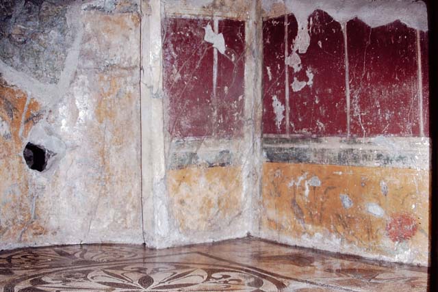 I.6.16, Pompeii. December 2018. 
Looking east across mosaic flooring. Photo courtesy of Aude Durand.
