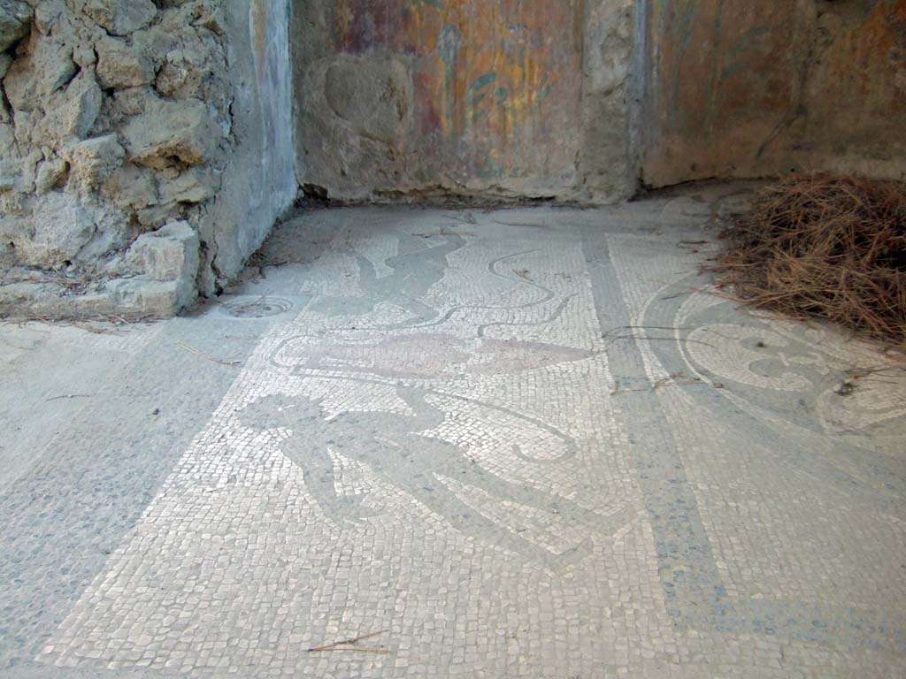 I.6.16 Pompeii. May 2005. View from rear entrance, mosaic floor of calidarium.


