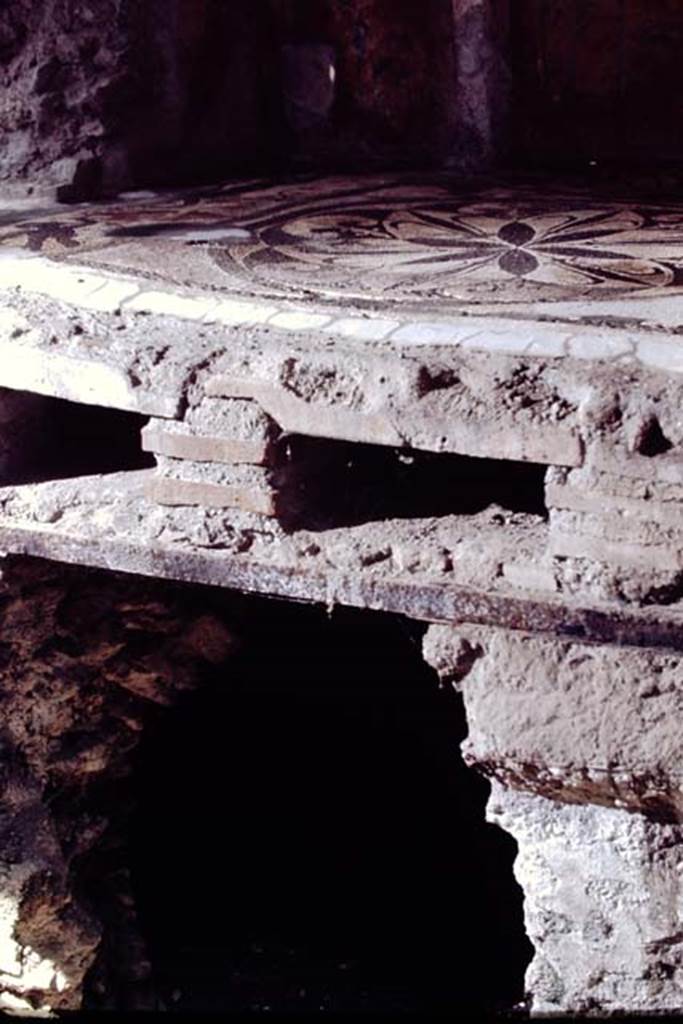 I.6.16 Pompeii. May 2017. Calidarium of the baths’ area, showing under floor construction.
Photo courtesy of Buzz Ferebee.

