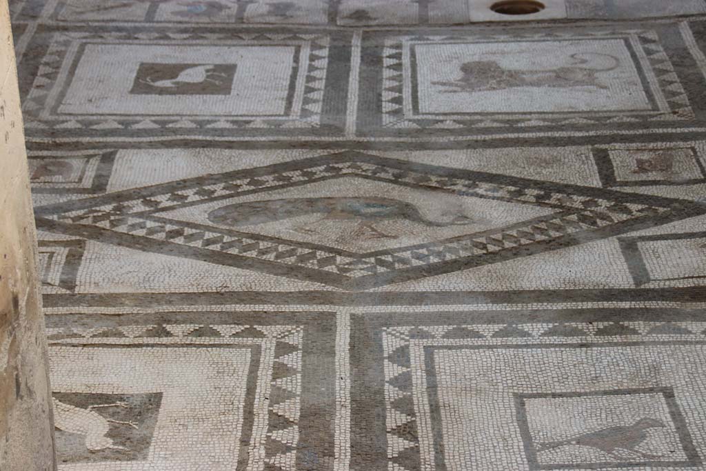 I.7.1 Pompeii. September 2017. Detail of mosaic flooring in atrium, looking south. Photo courtesy of Klaus Heese.
