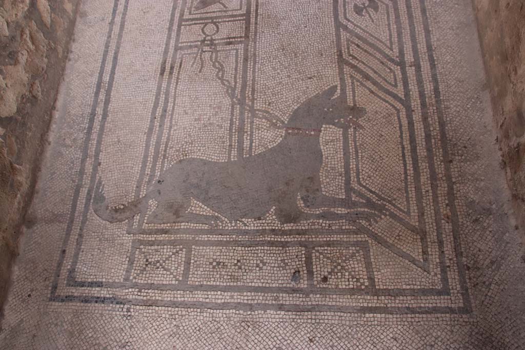 I.7.1 Pompeii. May 2016. Emblema in centre of mosaic dividing floor of atrium and tablinum. Photo courtesy of Buzz Ferebee.
