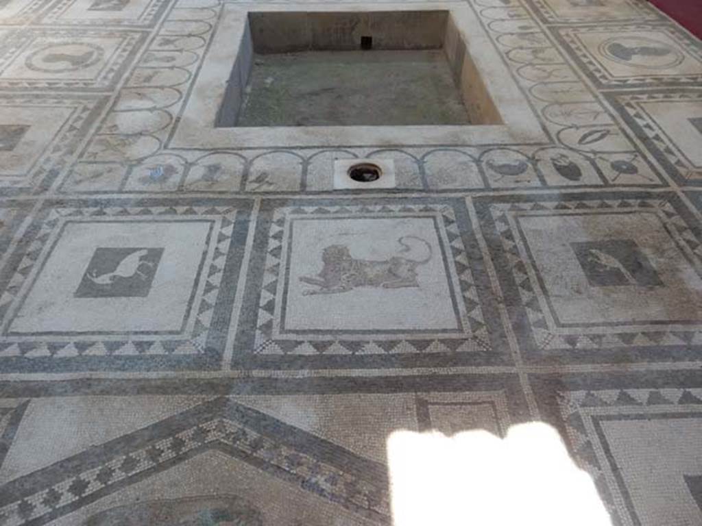 1.7.1 Pompeii. September 2015. Mosaic in tablinum Photo from information sheet in house.