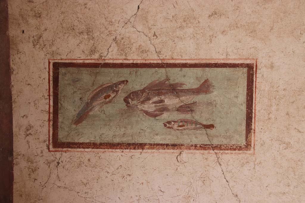I.7.11 Pompeii. September 2021. 
South wall of cubiculum to south-east of atrium, wall painting of fish from east end of south wall. Photo courtesy of Klaus Heese.
