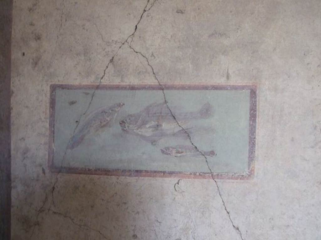 I.7.11 Pompeii. December 2006. Cubiculum to south-east of atrium. Wall painting of fish from east end of south wall. 