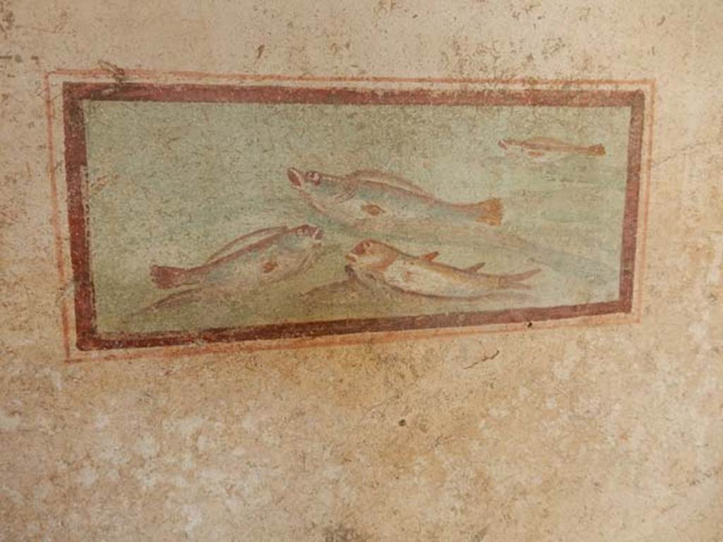 I.7.11 Pompeii. May 2017. Cubiculum to south-east of atrium. Wall painting of fish from west end of south wall 
Photo courtesy of Buzz Ferebee.