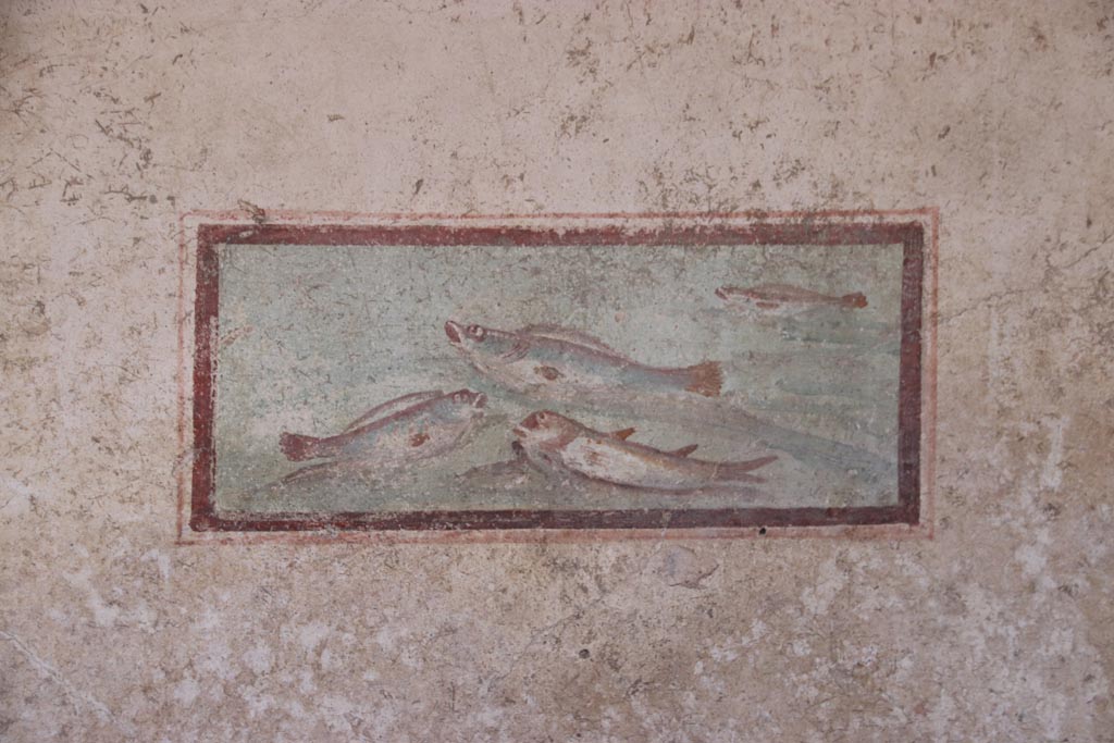 I.7.11 Pompeii. October 2023. 
South wall of cubiculum to south-east of atrium, wall painting of fish from west end of south wall. Photo courtesy of Klaus Heese.

