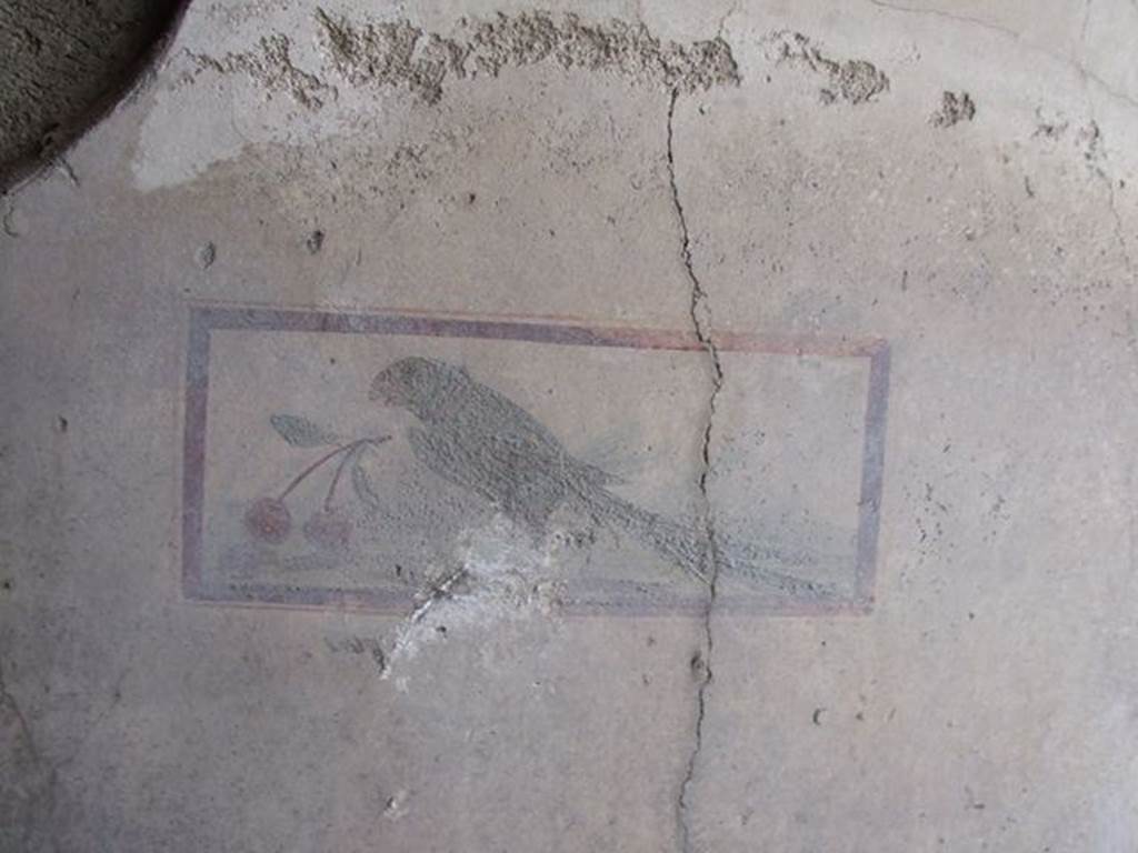 I.7.11 Pompeii. December 2006. Cubiculum to south-east of atrium, west wall.
Wall painting of bird with cherry.