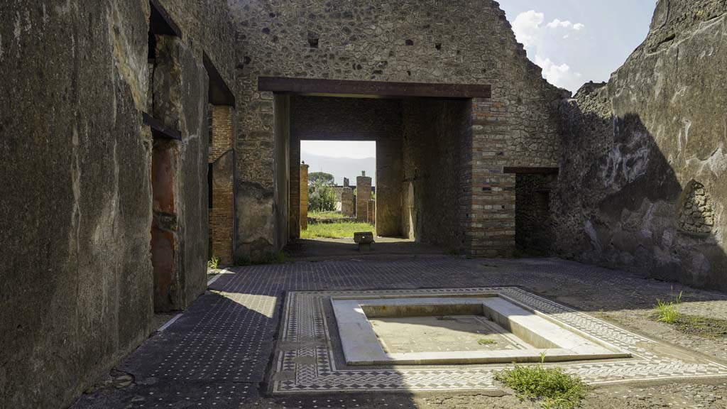 I.9.1 Pompeii. May 2017. Room 1, looking south across impluvium in atrium.  Photo courtesy of Buzz Ferebee.
