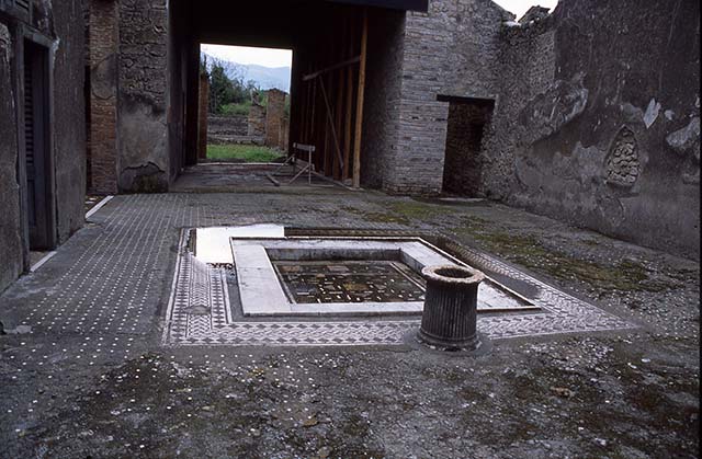 I.9.1 Pompeii. April 1998. Room 1, atrium and impluvium. Work is in progress on the surrounding mosaic.
A marble fluted puteal is in place at the north end of the impluvium but the terracotta grondaia is not present at the south end.
Photo courtesy of Rob Rietberg.
