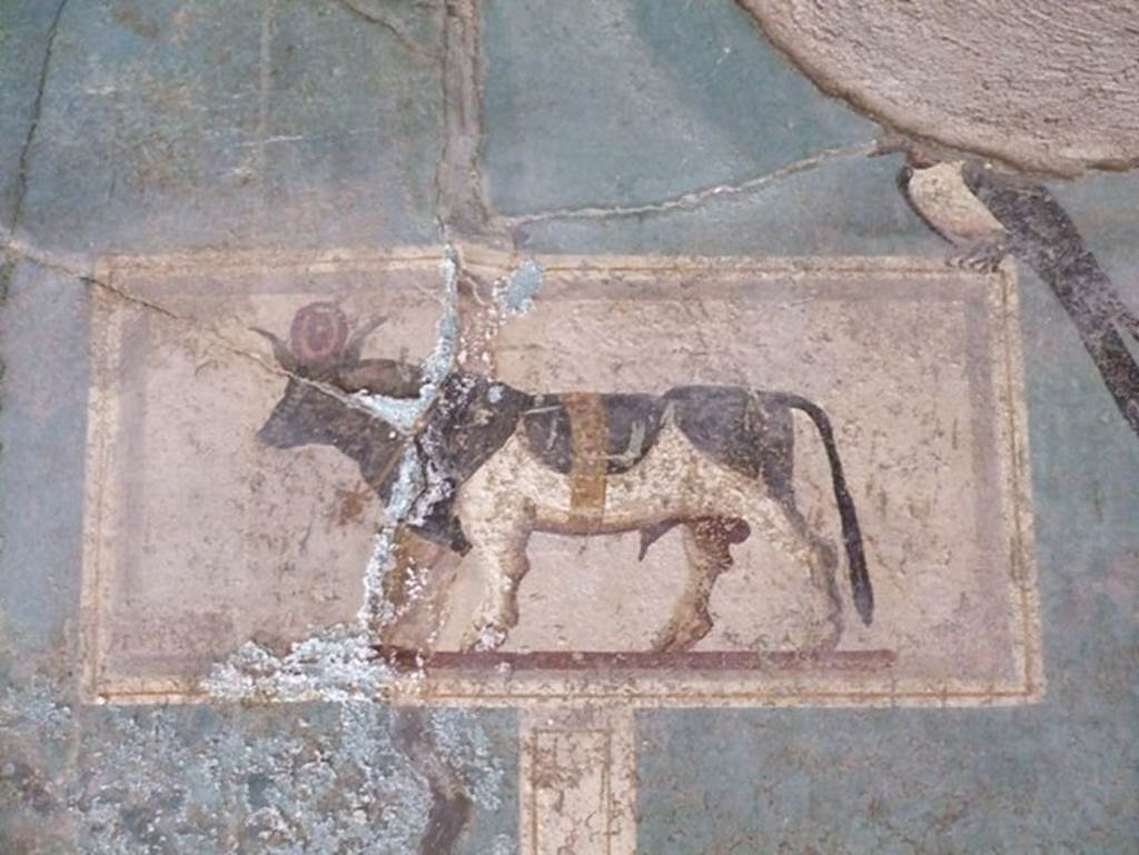 I.9.5 Pompeii. March 2009. Room 5.  Cubiculum.  North wall.  Painting of Apis bull.