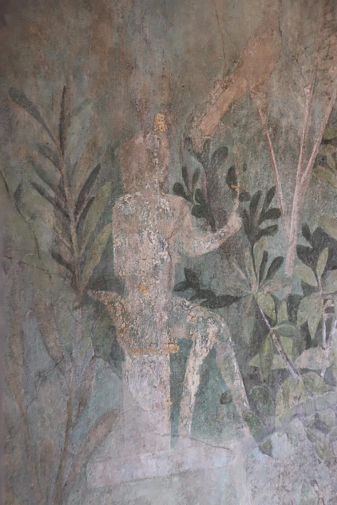I.9.5 Pompeii. October 2022. 
Room 5, detail of painted figure from west end of north wall. Photo courtesy of Klaus Heese.
