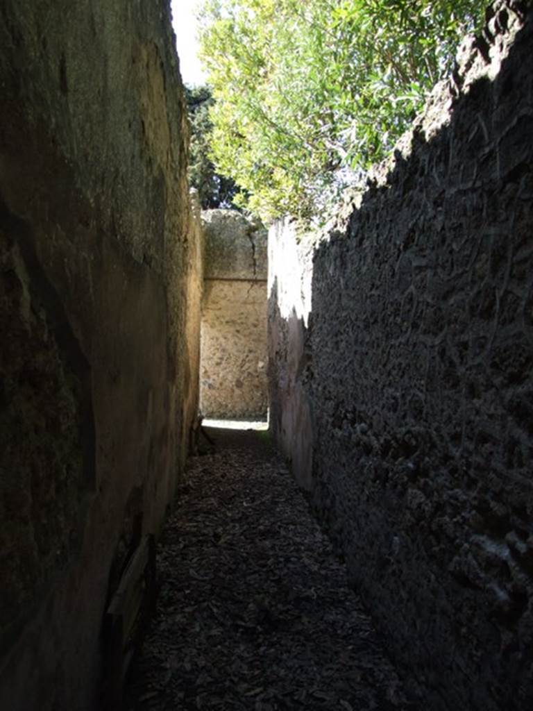 I.10.4 Pompeii. March 2009. Corridor M looking west.