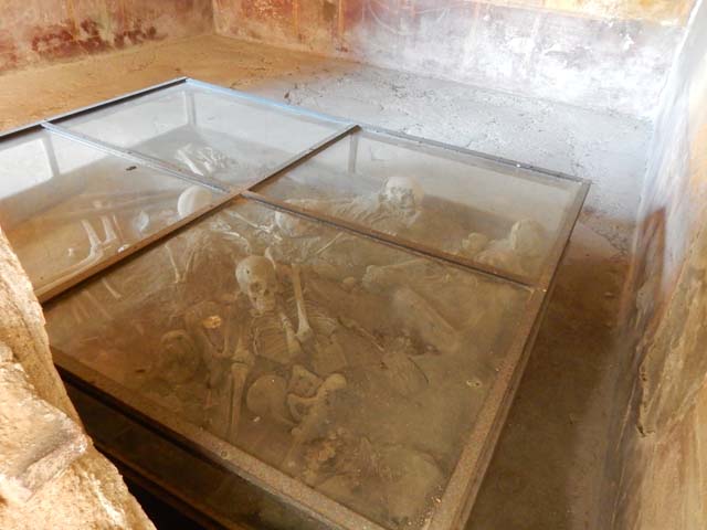 1.10.4 Pompeii. May 2015. Room 19, looking east across glass case with remains of bones of fugitives. Photo courtesy of Buzz Ferebee.
