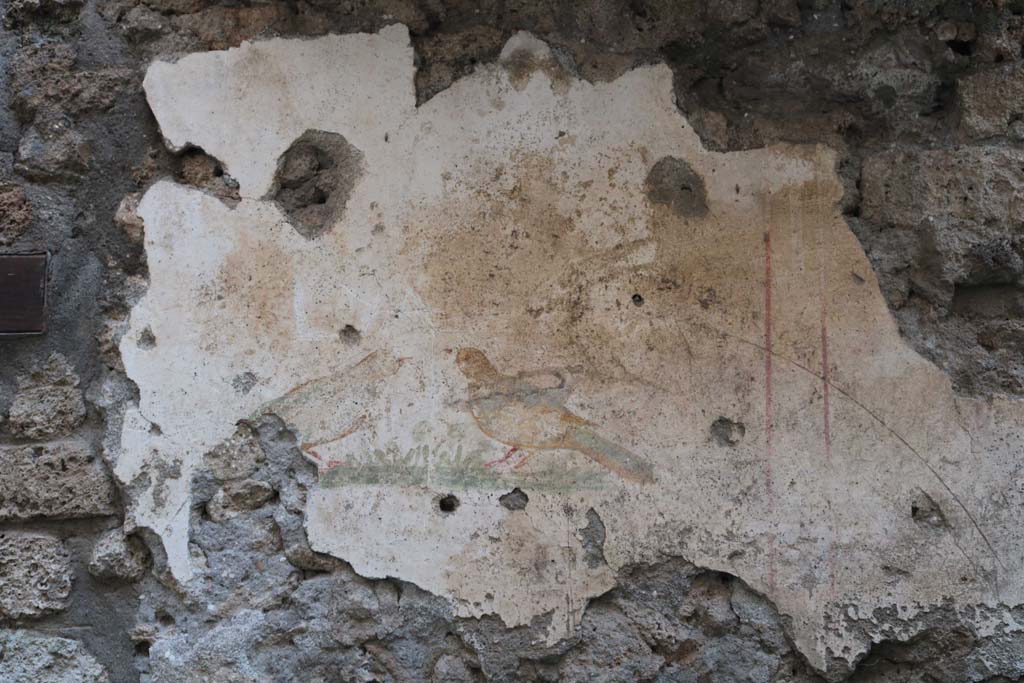 I.10.6 Pompeii. December 2018. Wall painting of two birds on west wall of small room. Photo courtesy of Aude Durand.