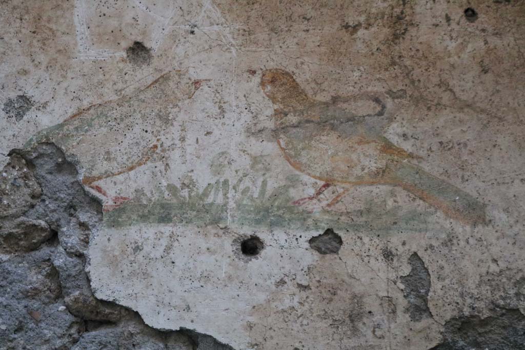I.10.6 Pompeii. December 2018. 
Detail of bird wall painting from west wall of small room to east of workshop. Photo courtesy of Aude Durand.
