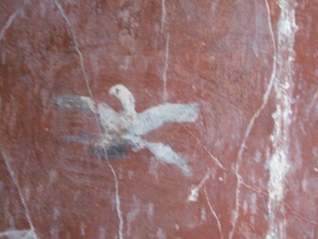 I.10.11 Pompeii.  March 2009.  Room 12.  Cubiculum.  South wall.  East end.  Painting of an eagle.