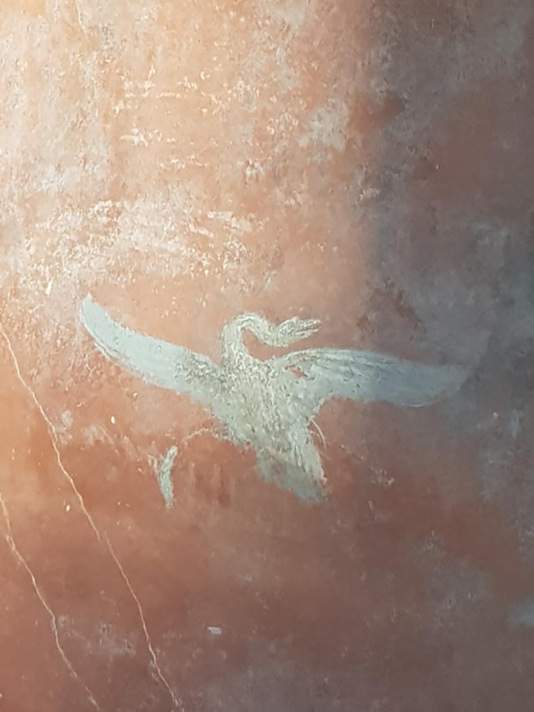 I.10.11 Pompeii. October 2022. 
Room 12, painting of a swan from west end of south wall. Photo courtesy of Klaus Heese. 


