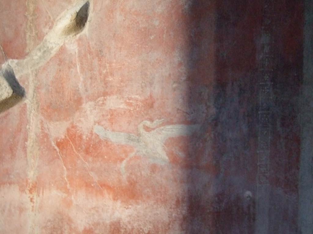 I.10.11 Pompeii.  March 2009.  Room 12.  Cubiculum.  South wall.  West end.  Painting of a swan.