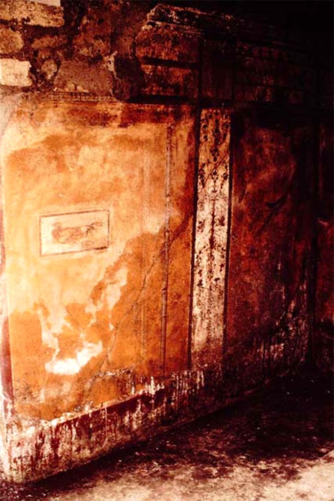 I.11.11 Pompeii. 1964. West wall of room on north side of thermopolium. Photo by Stanley A. Jashemski.
Source: The Wilhelmina and Stanley A. Jashemski archive in the University of Maryland Library, Special Collections (See collection page) and made available under the Creative Commons Attribution-Non-Commercial License v.4. See Licence and use details.
J64f1795
