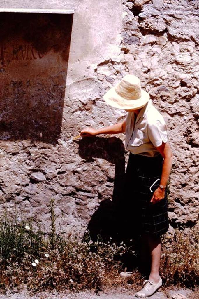 I.11.11 Pompeii. 1964. Wilhelmina studying the exterior wall to the right of the inscription [CIL IV 9852] which was on the east of the doorway. Photo by Stanley A. Jashemski.
Source: The Wilhelmina and Stanley A. Jashemski archive in the University of Maryland Library, Special Collections (See collection page) and made available under the Creative Commons Attribution-Non Commercial License v.4. See Licence and use details.
J64f1689
