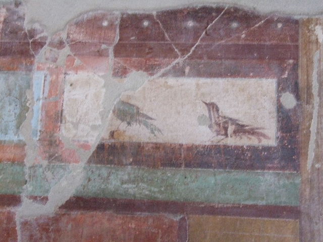 I.11.14 Pompeii. December 2006. Detail of painting of birds from painted wall in oecus.