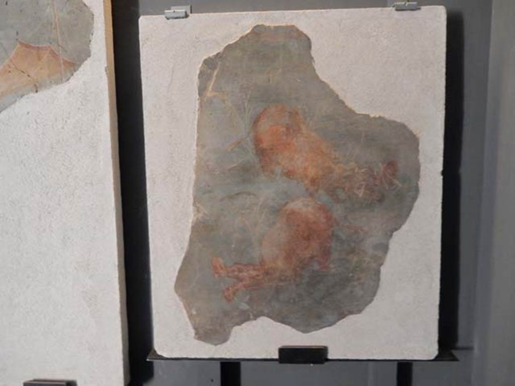 I.11.15 Pompeii. May 2016, photographed on display in the Antiquarium. SAP LR16 part of SAP 56310.
Fragment of III Style, showing two hippos with open jaws. The display card, above, states that both fragments were once part of a single large fresco.
Photo courtesy of Buzz Ferebee.
