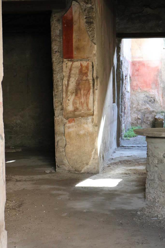 I.12.3 Pompeii. December 2018. 
Doorway to room 2, pilaster with painted guard dog, and corridor to rear. Photo courtesy of Aude Durand.
