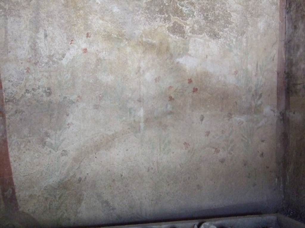 I.12.8 Pompeii.  March 2009. Room 10. West wall.  Lararium. Remains of painted plant decoration.