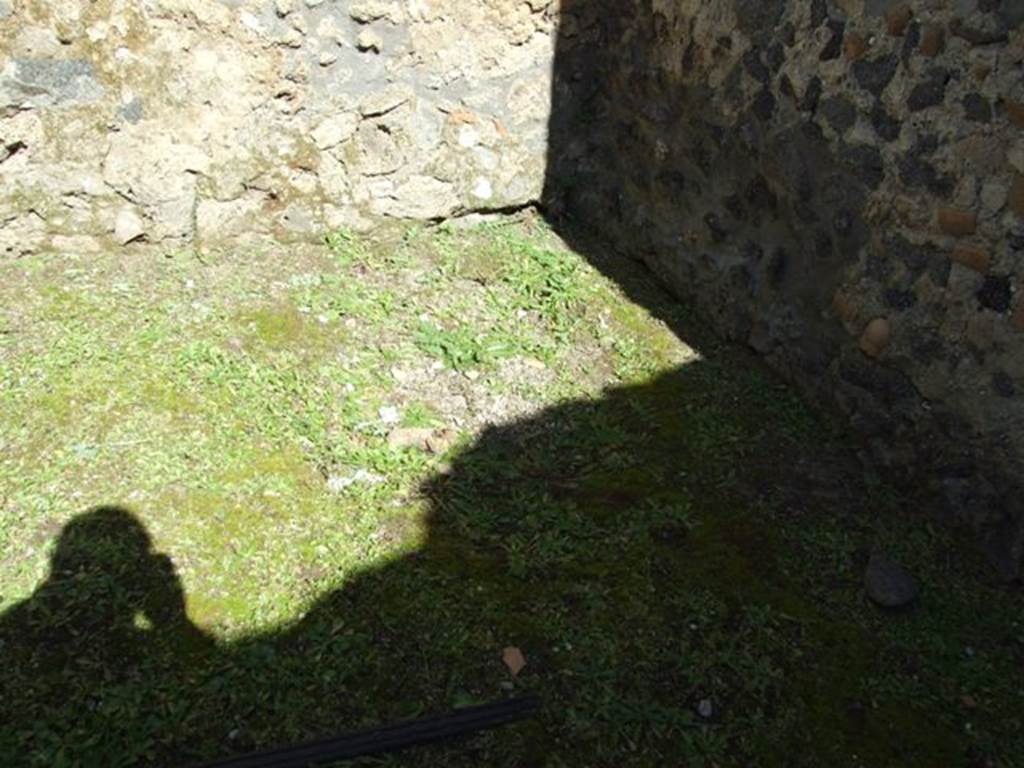 I.13.15 Pompeii. March 2009. North-east corner of small garden at rear?  