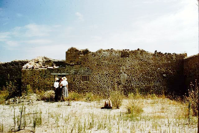 1.15.6 and I.15, Pompeii. 1959. East wall of garden of I.15.1/3 with doorway to I.15.6 and two terracotta windows of I.15.5.
 Photo by Stanley A. Jashemski.
Source: The Wilhelmina and Stanley A. Jashemski archive in the University of Maryland Library, Special Collections (See collection page) and made available under the Creative Commons Attribution-Non Commercial License v.4. See Licence and use details.
J59f0498 
