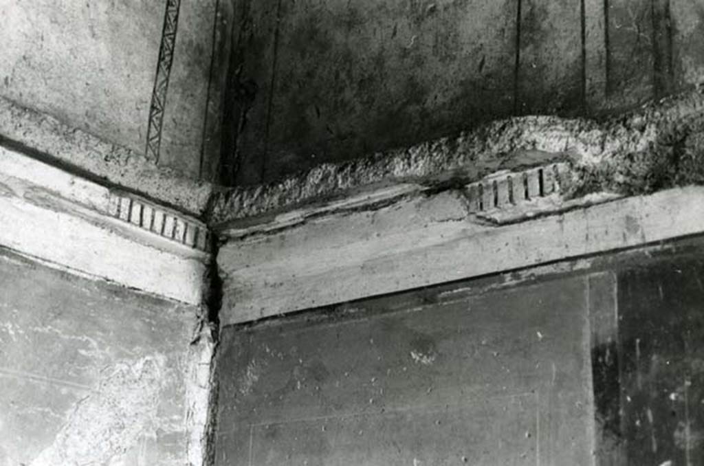 I.16.4 Pompeii. 1975. Tuscanic Atrium, detail of dentil cornice in NW corner of cubiculum on west side of fauces.  Photo courtesy of Anne Laidlaw.
American Academy in Rome, Photographic Archive. Laidlaw collection _P_75_5_22.