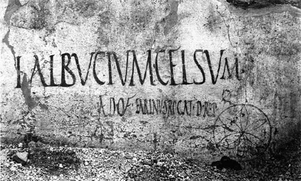 I.19.4 Pompeii. Graffiti on east of entrance doorway, no longer conserved.
L. ALBVCIVM CELSVM
AED O V F EARINVS ROGAT D R P

L(ucium) Albucium Celsu//m 
aed(ilem) o(ro) v(os) f(aciatis) Earinus rogat d(ignum) r(ei) p(ublicae)       [CIL IV 7387]

Also found was
Drapetae omnes      [CIL IV 7389]

See Epigraphik-Datenbank Clauss/Slaby (www.manfredclauss.de).
According to Varone and Stefani, these were found to the east (left) of the entrance of I.19.4 but are no longer conserved.
See Varone, A. and Stefani, G., 2009. Titulorum Pictorum Pompeianorum, Rome: L’Erma di Bretschneider, p. 172-3.

