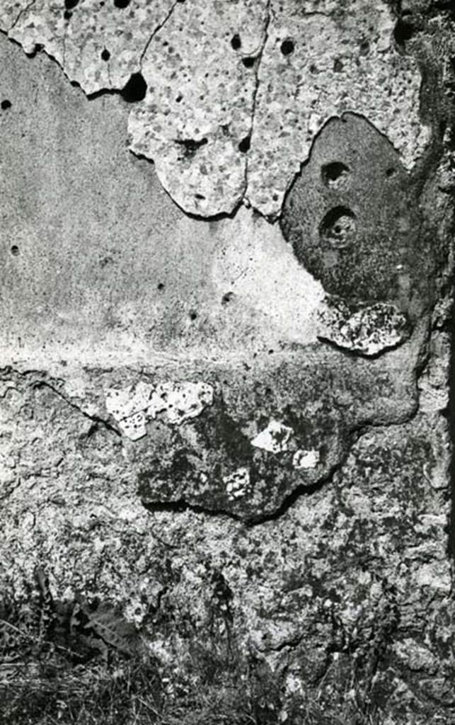I.20.4 Pompeii. 1974. Shop House, room at NW corner, E wall, detail.  Photo courtesy of Anne Laidlaw.
American Academy in Rome, Photographic Archive. Laidlaw collection _P_74_3_12.
