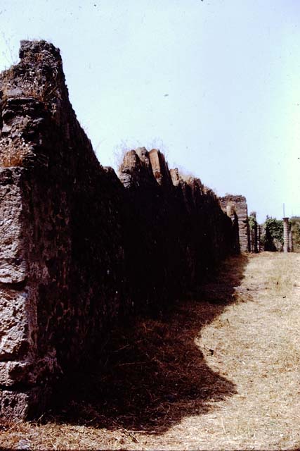 I.20.5 Pompeii. 1972. Exterior of north wall in Via della Palestra. Photo by Stanley A. Jashemski. 
Source: The Wilhelmina and Stanley A. Jashemski archive in the University of Maryland Library, Special Collections (See collection page) and made available under the Creative Commons Attribution-Non Commercial License v.4. See Licence and use details. J72f0071
