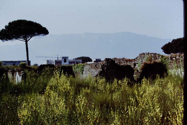 I.20.5 Pompeii. 1959. Looking south-west across the garden area.
Photo by Stanley A. Jashemski.
Source: The Wilhelmina and Stanley A. Jashemski archive in the University of Maryland Library, Special Collections (See collection page) and made available under the Creative Commons Attribution-Non Commercial License v.4. See Licence and use details.
J59f0497
