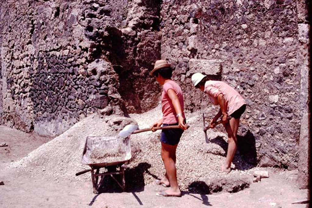 I.21.2/6 Pompeii. 1974. Removing lapilli in north-east corner of garden area. Photo by Stanley A. Jashemski.   
Source: The Wilhelmina and Stanley A. Jashemski archive in the University of Maryland Library, Special Collections (See collection page) and made available under the Creative Commons Attribution-Non Commercial License v.4. See Licence and use details. J74f0239
