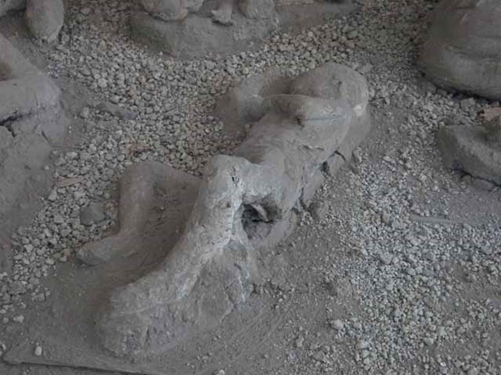 I.21.6 Pompeii. May 2010. Detail of a plaster cast of impression of a body.