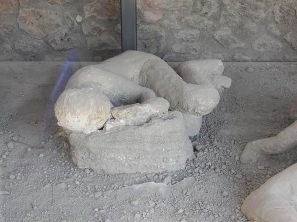 I.21.6 Pompeii. May 2016. Detail of a plaster cast of impression of a body. Photo courtesy of Buzz Ferebee.

