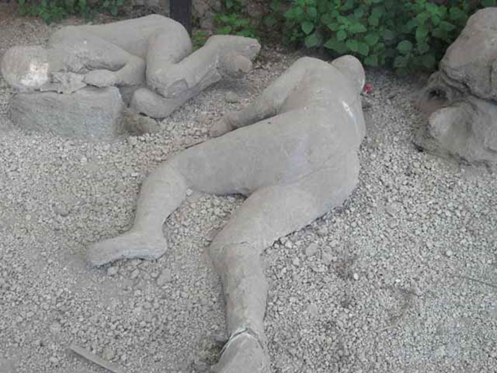 I.21.6 Pompeii. May 2010. Detail of plaster casts of impressions of bodies.