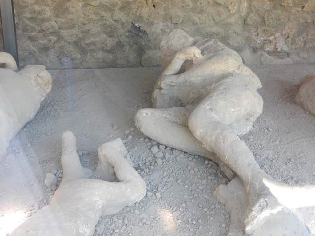 .21.6 Pompeii. May 2016. Detail of plaster casts of the impression of bodies.   
Photo courtesy of Buzz Ferebee.
