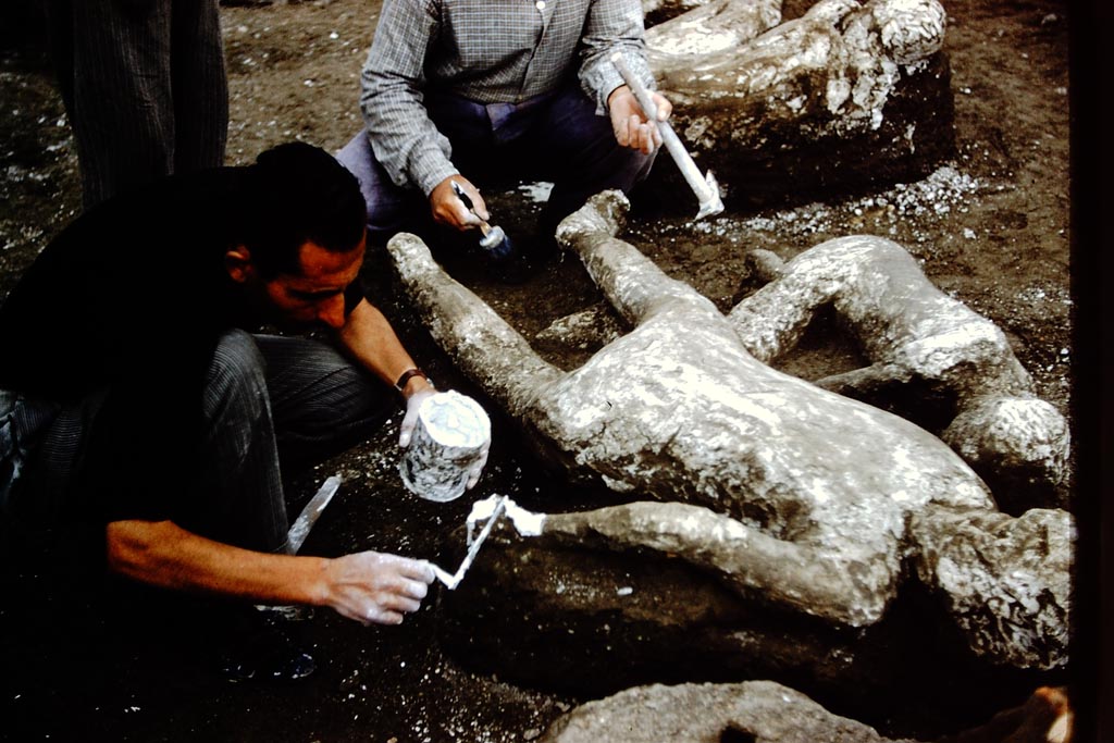 1.21.6 Pompeii. 1961. Putting the last gentle touches to the plaster cast of victims 45 and 44. Photo by Stanley A. Jashemski.
Source: The Wilhelmina and Stanley A. Jashemski archive in the University of Maryland Library, Special Collections (See collection page) and made available under the Creative Commons Attribution-Non-Commercial License v.4. See Licence and use details.
J61f0385
