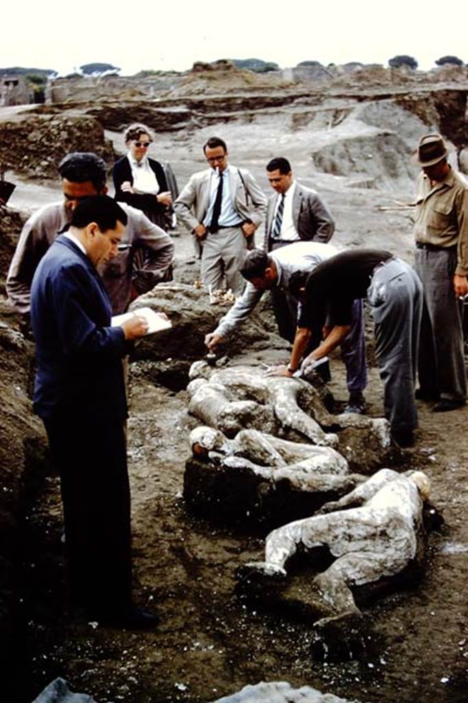 1.21.6 Pompeii. 1961. Wilhelmina watching the finding of the fugitives.  Photo by Stanley A. Jashemski.
Source: The Wilhelmina and Stanley A. Jashemski archive in the University of Maryland Library, Special Collections (See collection page) and made available under the Creative Commons Attribution-Non Commercial License v.4. See Licence and use details.
J61f0381

