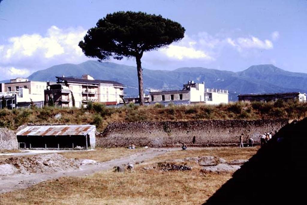 I.21.6 Pompeii, 1973. Looking south across site. Photo by Stanley A. Jashemski. 
Source: The Wilhelmina and Stanley A. Jashemski archive in the University of Maryland Library, Special Collections (See collection page) and made available under the Creative Commons Attribution-Non Commercial License v.4. See Licence and use details. J73f0466
